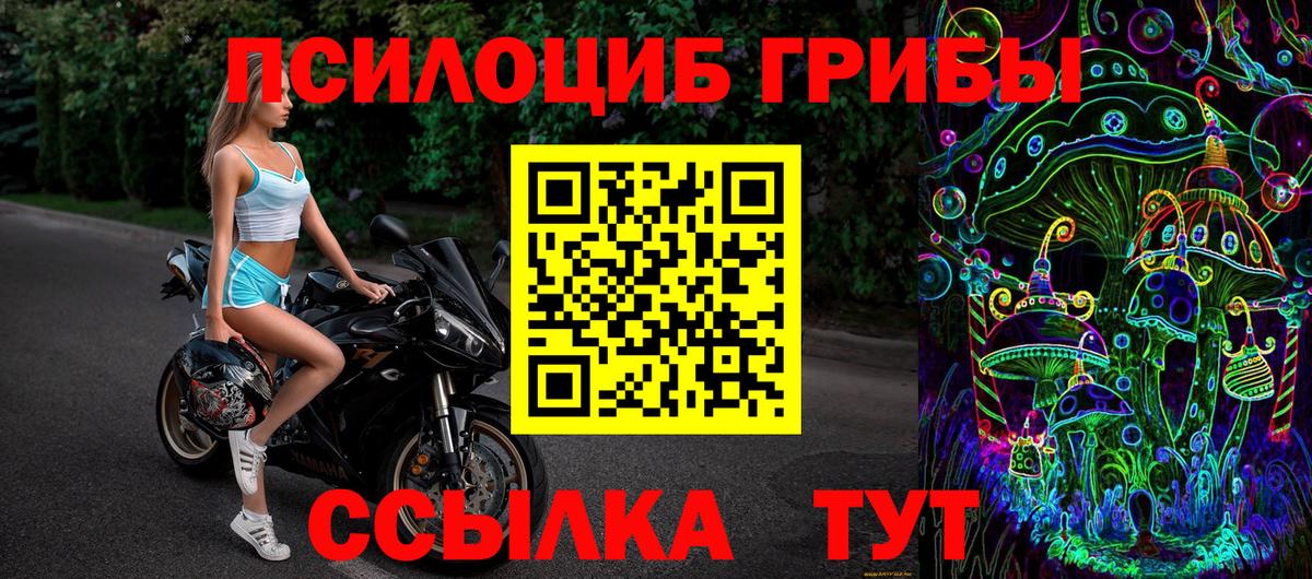 цена   Псилоцибиновые грибы Psilocybe  Вход с VPN  Галлюциногенные грибы мицелий  Нерюнгри 